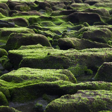 Dağları manzaraları. kıyı şeridi.
