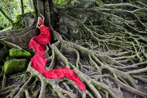 Bir tropik ağaç büyük kökleri üzerinde yalan uzun Kırmızı elbiseli kız. Peri masalında tropikal orman — Stok fotoğraf