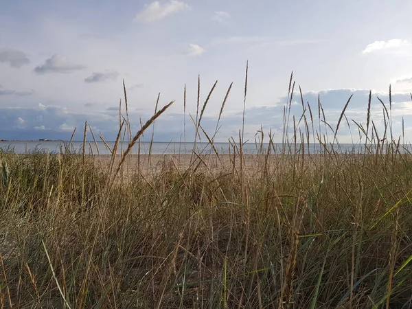 Piękna Plaża Szwedzkim Wschodnim Wybrzeżu — Zdjęcie stockowe