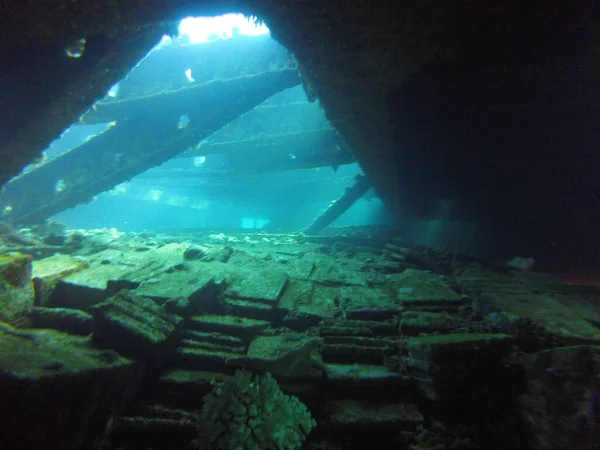 Mısır 'da Güzel Enkaz Dalışı 4
