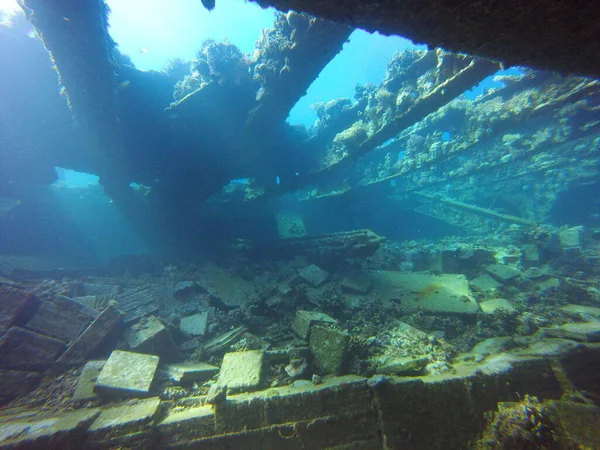 Mısır 'da Güzel Yıkım Dalışı 3