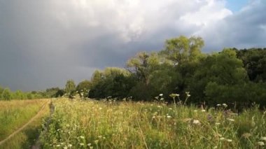 Gökkuşağı yağmurdan sonra ile çayır.