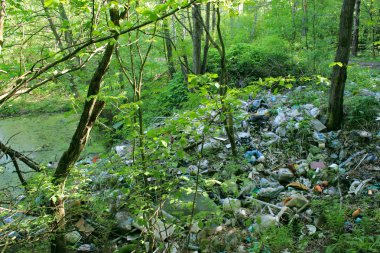 Ormanın içinde çöp