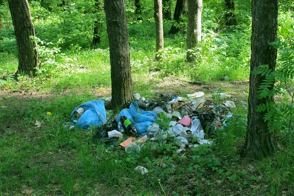 Vuilnis in het bos Stockafbeelding