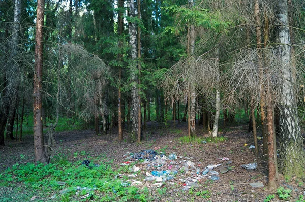 Vuilnis in het bos Rechtenvrije Stockafbeeldingen