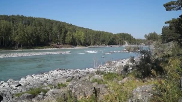 Vue sur la rivière Katun en été, l'hôtel "Couronne de l'Altaï ". — Video
