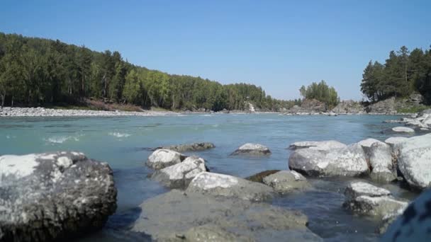 Flow and stones Katun River in Altai. — Stock Video