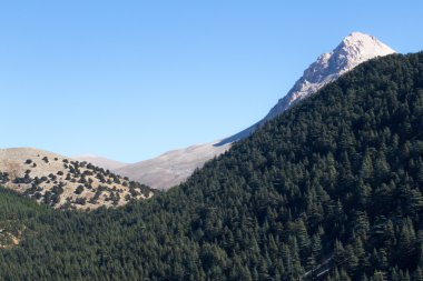 Yayla Taş Çölü. Buzul iz
