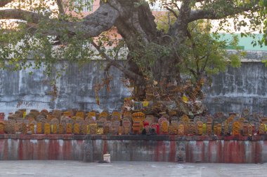 Shiva Tapınağı, Kanchipuram, Tamil Nadu kırmızı noktalı sarı anıtların grup