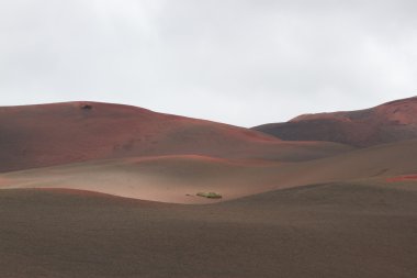 Lanzarote, Kanarya Adaları içinde taş volkanik manzara çöl