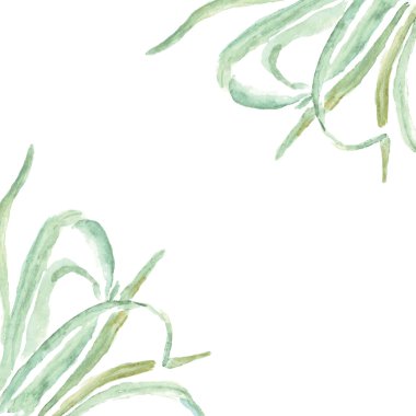 Eko çerçeve çim dekorasyon ve tebrik kartları, kartvizit