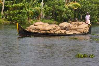 Allepey, Kerala, Hindistan, 31 Mart 2015: Hintli taşıma tekneler üzerinde durmuyoruz. Durgun Kano