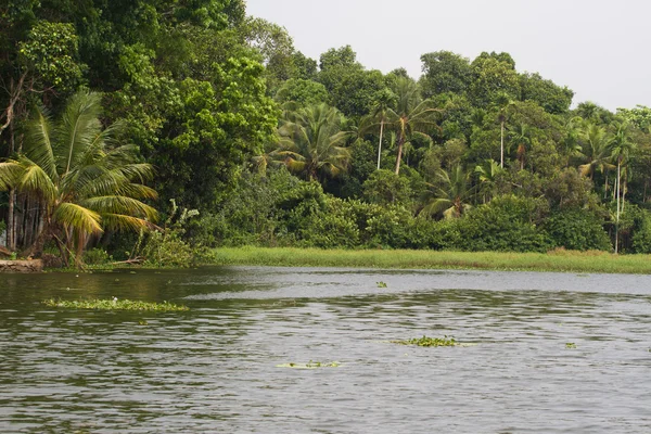 Allepey stad op het water. Opstuwing, rijst plantation, kokosnoten mango palmboom. Rivierlandschap — Stockfoto