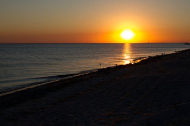 Deniz ve çim siluetleri günbatımı Ukrayna, bozkır bölgesi, Kılburun tükürmek