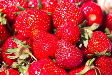 Çilek arka plan. Sulu fotoğraf üzerinde olgunlaşmış, kırmızı, ham