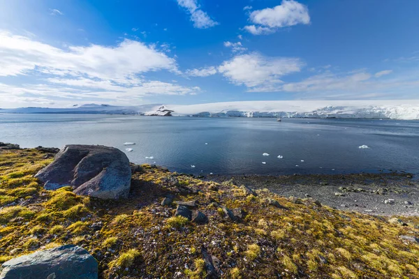 Halve maan Bay, Zuid-Shetland Eilanden uitzicht op de haven met Deschampsia antarctica haar gras planten Stockfoto