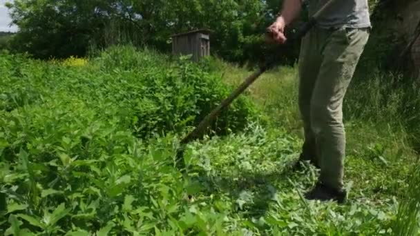 El hombre corta la hierba en el campo con una vieja herramienta de metal. La guadaña de mano cortó el heno a la antigua usanza en el pueblo. — Vídeo de stock