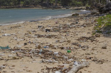 Kirliliği kıyı ekosistemleri, doğal plastik ve plajlar