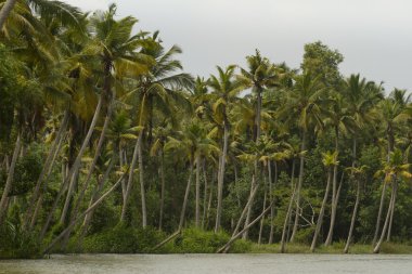 Allepey önemsizden tekneler Kerala Devlet, Hindistan