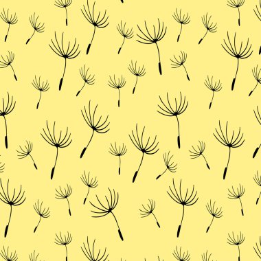 Desen karahindiba tohumların