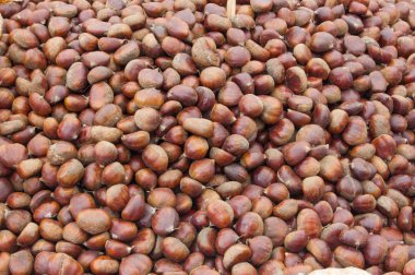 Birçok olgun sonbahar kestane arka plan 