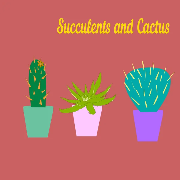 Cactus en sappig vector tekenen. — Stockvector