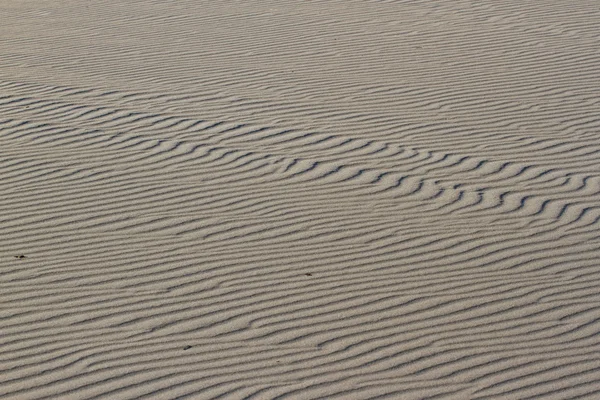 모래 질감의 배경입니다. 물결 모양으로 텍스처 — 스톡 사진