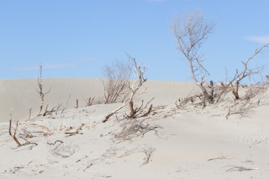 Güzel sahne kumlu Patara Türkiye'de. Kum ve gökyüzü