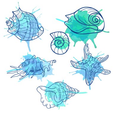 desen seashell vektör çizim arka plan