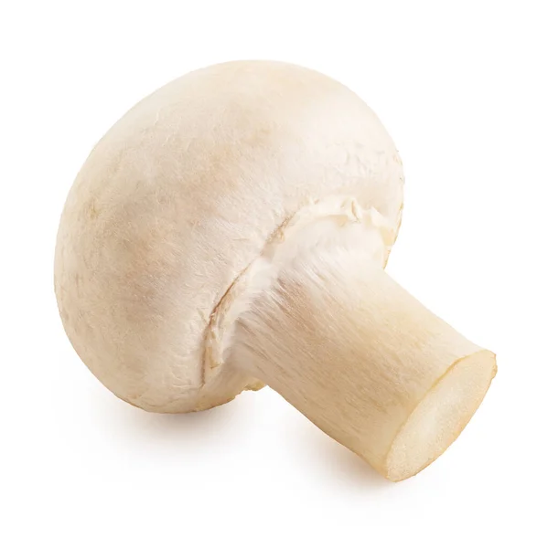 Cogumelo Único Botão Inteiro Isolado Branco — Fotografia de Stock