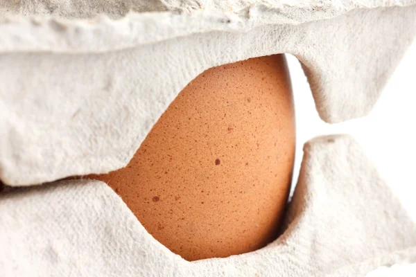 Whole eggs in cardboard tray. — Stock Photo, Image