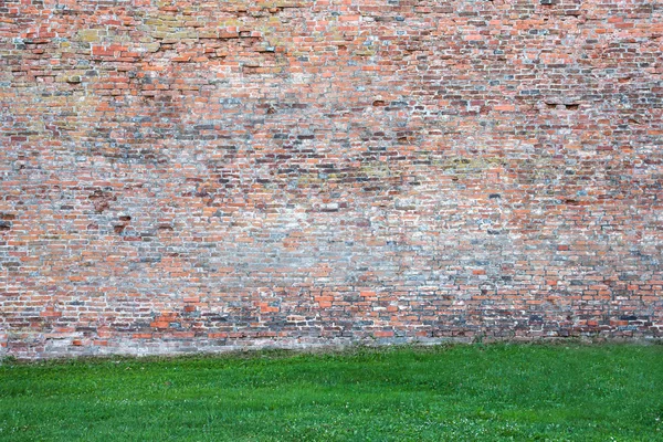 Vecchio muro di mattoni con erba . — Foto Stock