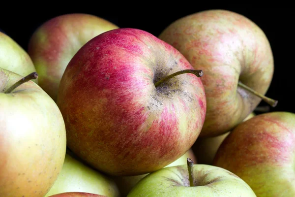 Manzanas rojas verdes — Foto de Stock