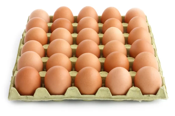 Large square tray of eggs. — Stock Photo, Image