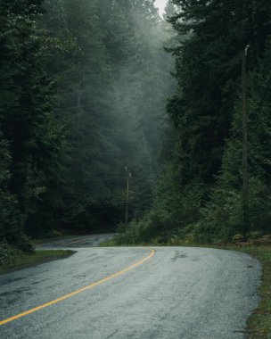 Kasaba yolu sisli ormanda