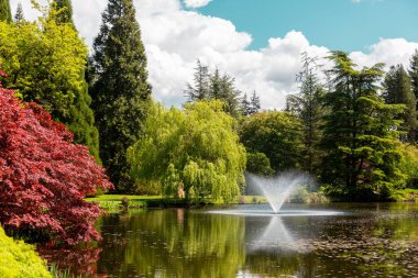 Renkli bir zen bahçesinde gölet ve su özelliği