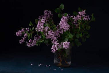 Koyu arkaplanda kavanozdaki leylak çiçekleri.