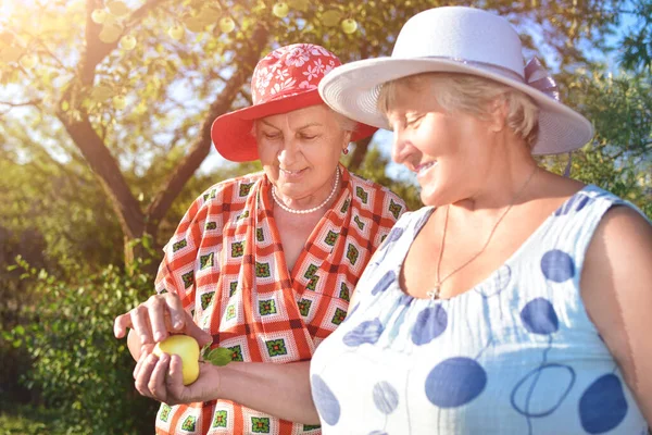 Promenade Dans Jardin Deux Femmes Retraite Meilleures Amies Marchent Joyeusement — Photo