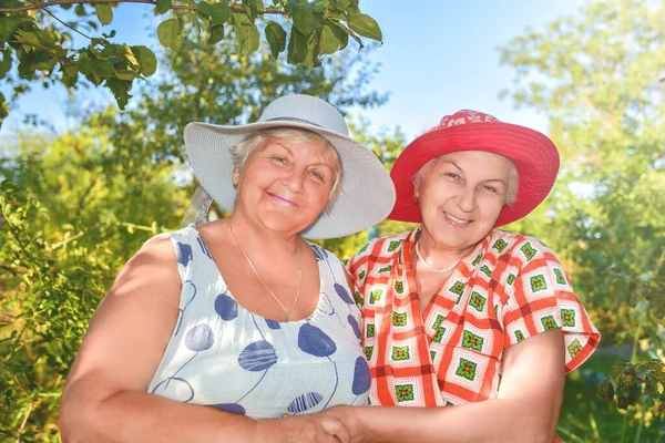 Projdi Zahradě Dvě Ženy Důchodu Nejlepší Přátelé Chodit Šťastně Zahradě — Stock fotografie