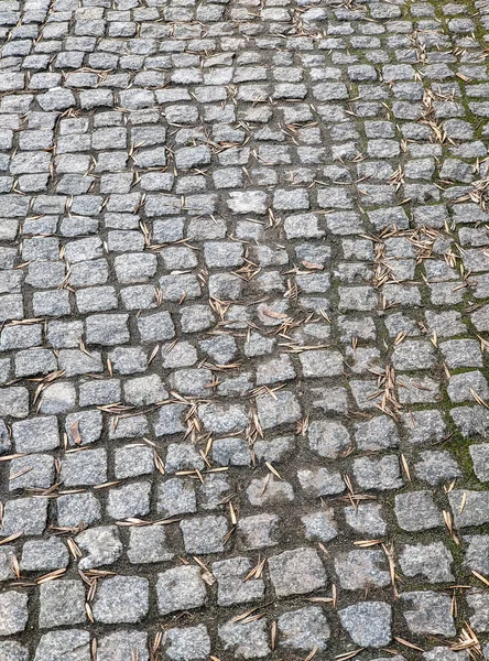 Background Sidewalk Tiles Covered Dried Leaves — Stock Photo, Image