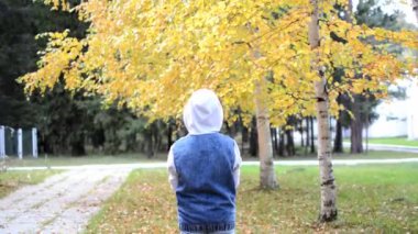 Çocuk sırtı kameraya dönük durur ve sarı sonbahar yapraklarını kusar..