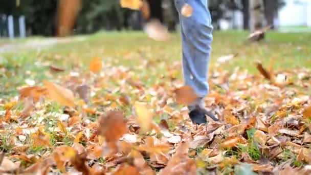 Jesień, dziecko kopie żółty, spadające liście. — Wideo stockowe