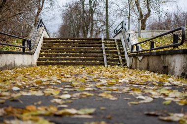 Sonbahar, merdivenler sarı yapraklarla kaplı..