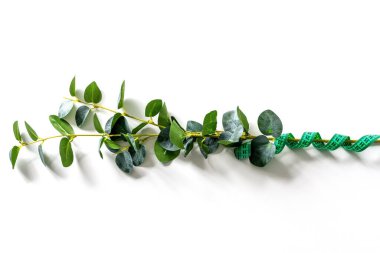 Beyaz arka planda yatay olarak yeşil bir mezura çiçeğin etrafına sarılmış. Zayıflık kavramı..