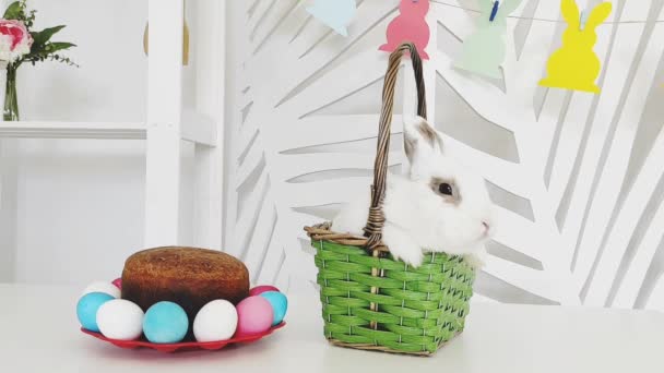 El conejo de Pascua se sienta en una cesta junto a un pastel de Pascua y huevos coloridos. — Vídeo de stock