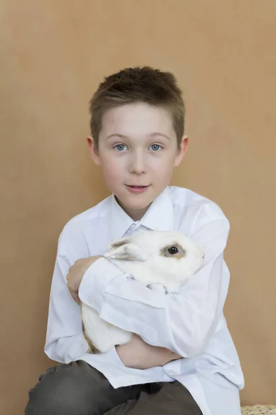 A boy in a white shirt holds a white rabbit — Stock Photo, Image