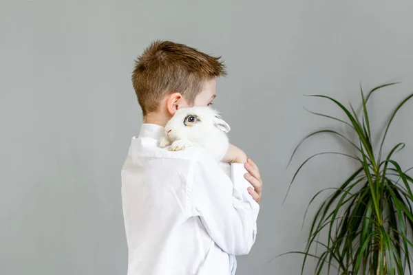 Хлопчик з вухами кролика тримає білого кролика . — стокове фото
