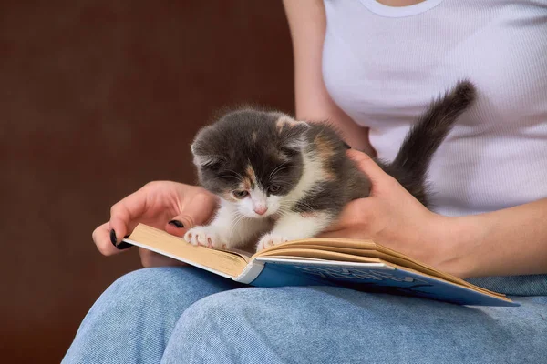 Genç bir kadının kucağında kitap üzerinde bir kedi yavrusu.. — Stok fotoğraf