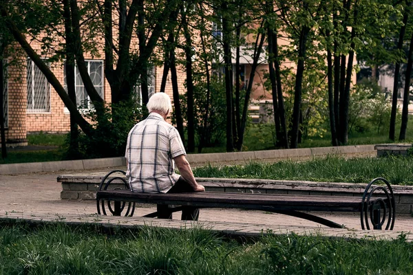 En gråhårig farfar i rutig skjorta sitter på en bänk med ryggen mot kameran.. Stockfoto