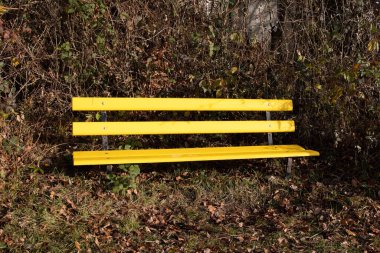 Sonbahar ormanının önündeki boş, boş bankta sabahları